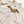 Load image into Gallery viewer, HBT OFFICERS SHIRT - BUTTERMILK
