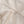 Load image into Gallery viewer, HBT OFFICERS SHIRT - BUTTERMILK
