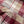 Load image into Gallery viewer, Wythe Washed Flannel Workshirt - Merlot Plaid
