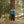 Load image into Gallery viewer, Big Rock Candy Mountaineering Arctic Parka - Blue Raspberry
