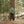 Load image into Gallery viewer, Big Rock Candy Mountaineering Minarets Vest - Pickle
