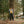 Load image into Gallery viewer, Big Rock Candy Mountaineering Arctic Parka - Cappuccino
