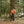 Load image into Gallery viewer, Big Rock Candy Mountaineering Alpine Jacket - Pumpkin
