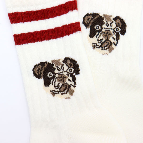 DOG SOCKS - WHITE