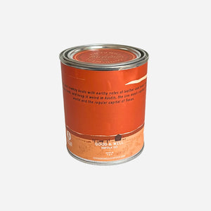 Good and Well Supply Co - 8 oz DESTINATION SOY CANDLE - AUSTIN -  - Alternative View 1